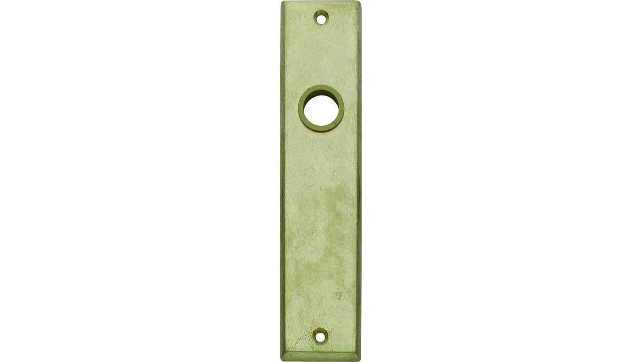 Schilden rechthoekig 181x41x7mm blind messing getrommeld