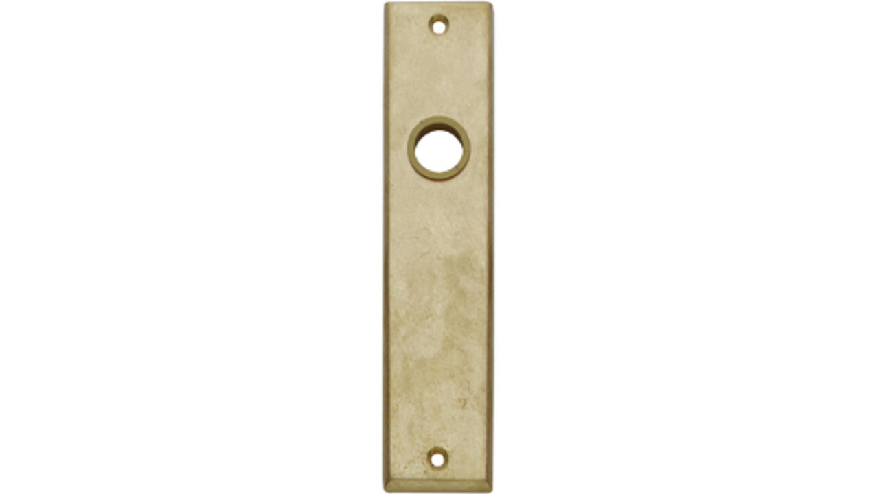 Schilden rechthoekig 181x41x7mm wc 63/8mm messing getrommeld