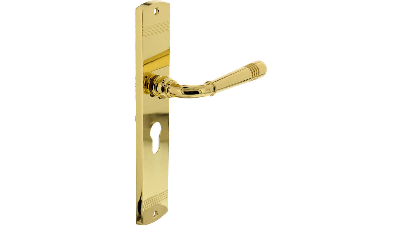 Deurkruk Helena op schild afgerond 235x45mm profielcilindergat 55mm PVD messingkleur