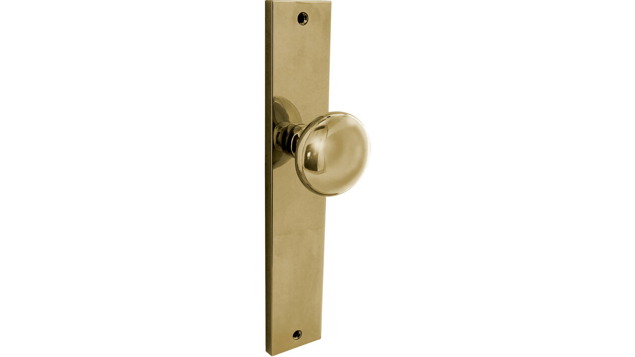 Knopschild rechthoekig 245x45x8mm met vaste knop paddenstoel en wisselstift blind PVD messingkleur