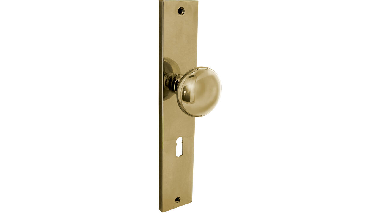 Knopschild rechthoekig 245x45x8mm met vaste knop paddenstoel en wisselstift sleutelgat 56mm PVD messingkleur