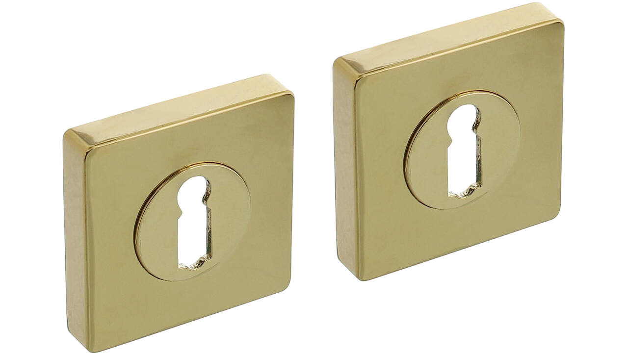 Sleutelrozetten verdekt 55x55x10mm met nokken PVD messingkleur