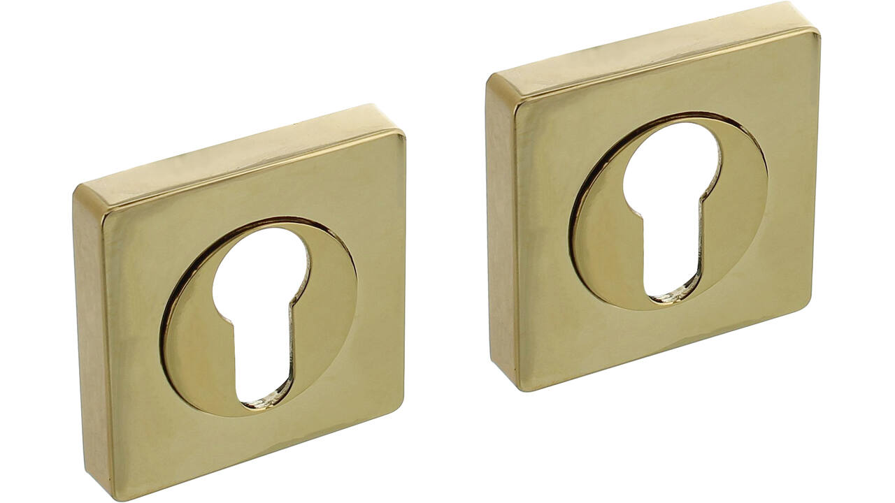 Cilinderrozetten verdekt 55x55x10mm met nokken PVD messingkleur