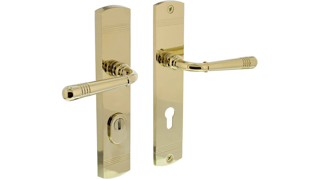 Achterdeurbeslag Helena 239x50mm kruk/kruk profielcilindergat 72mm met kerntrekbeveiliging PVD messingkleur