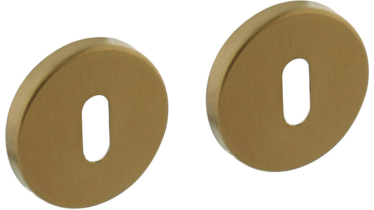 Sleutelrozetten verdekt ø51x5mm met nokken PVD messing mat