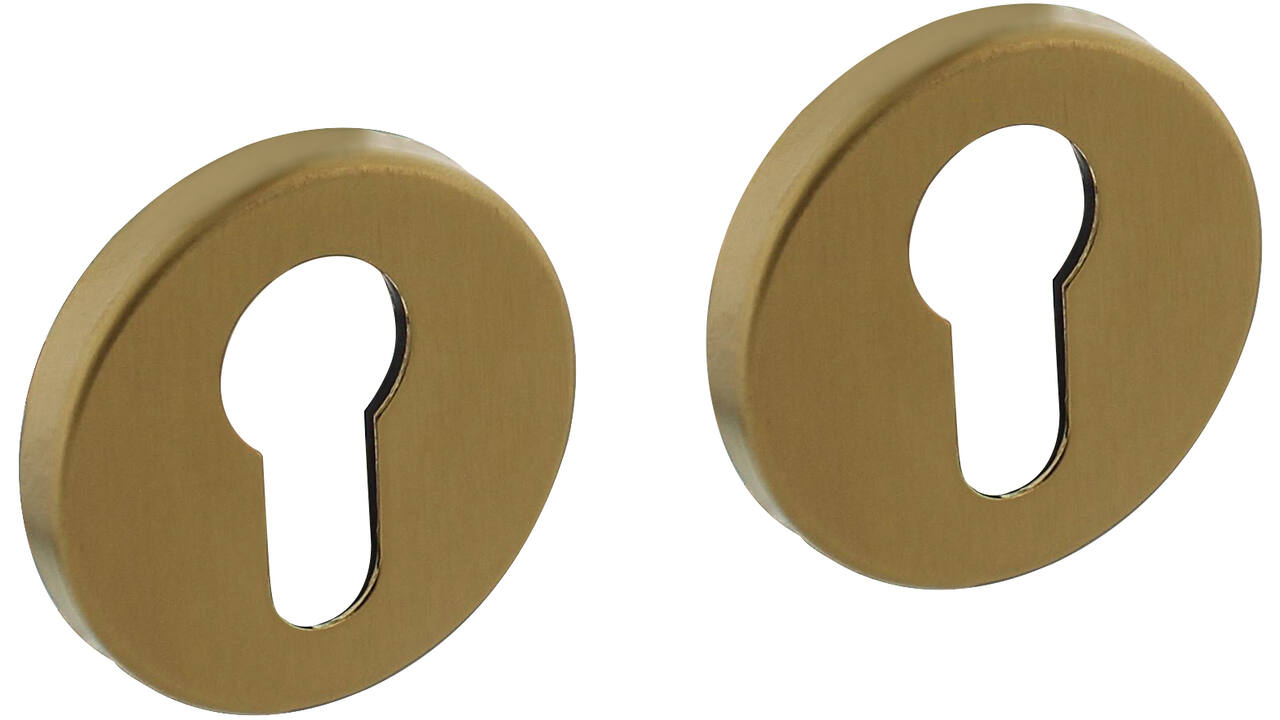 Cilinderrozetten verdekt ø51x5mm met nokken PVD messing mat