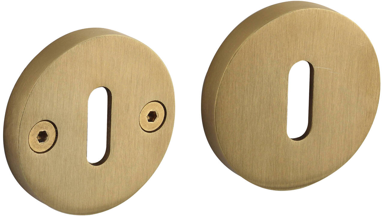 Sleutelrozetten éénzijdig verdekt ø55x8mm met nokken ø8mm PVD messing mat