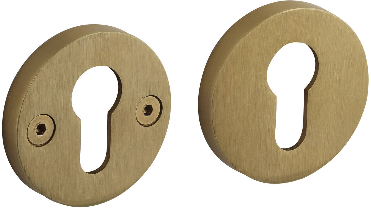 Cilinderrozetten éénzijdig verdekt ø55x8mm met nokken ø8mm PVD messing mat