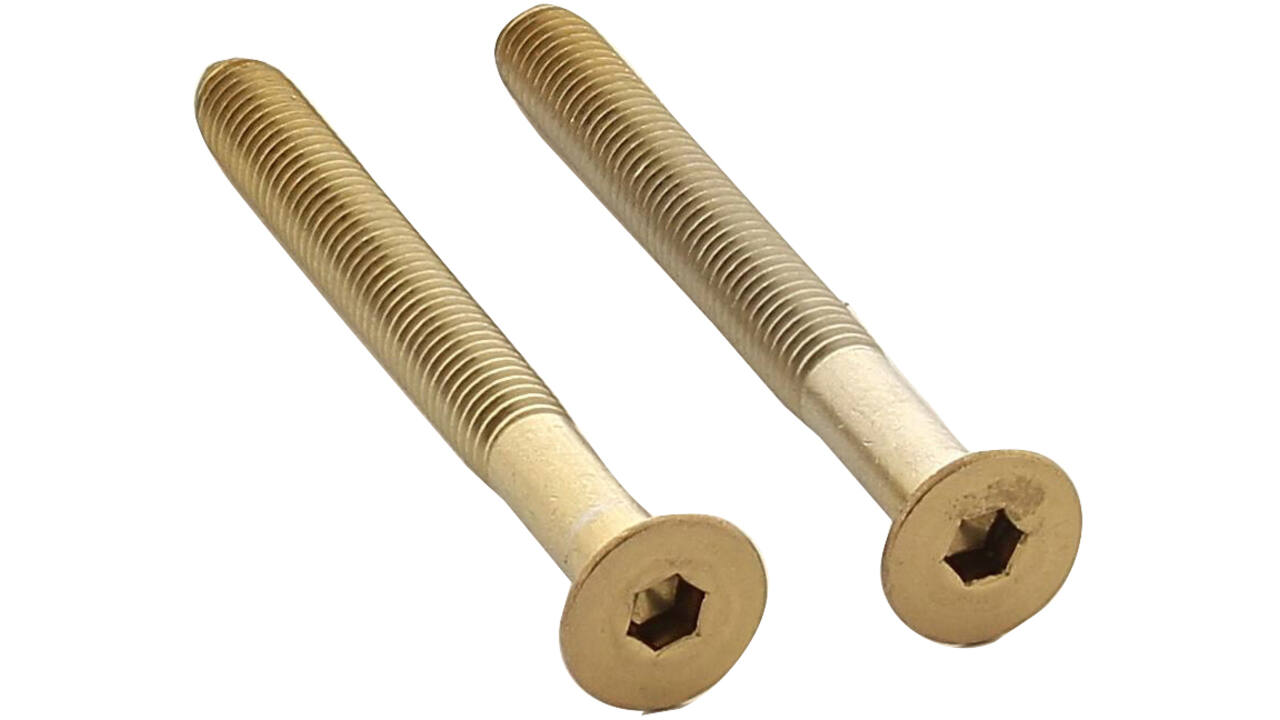 Set van 2 bouten 6-kant M5x48mm rvs PVD messing mat