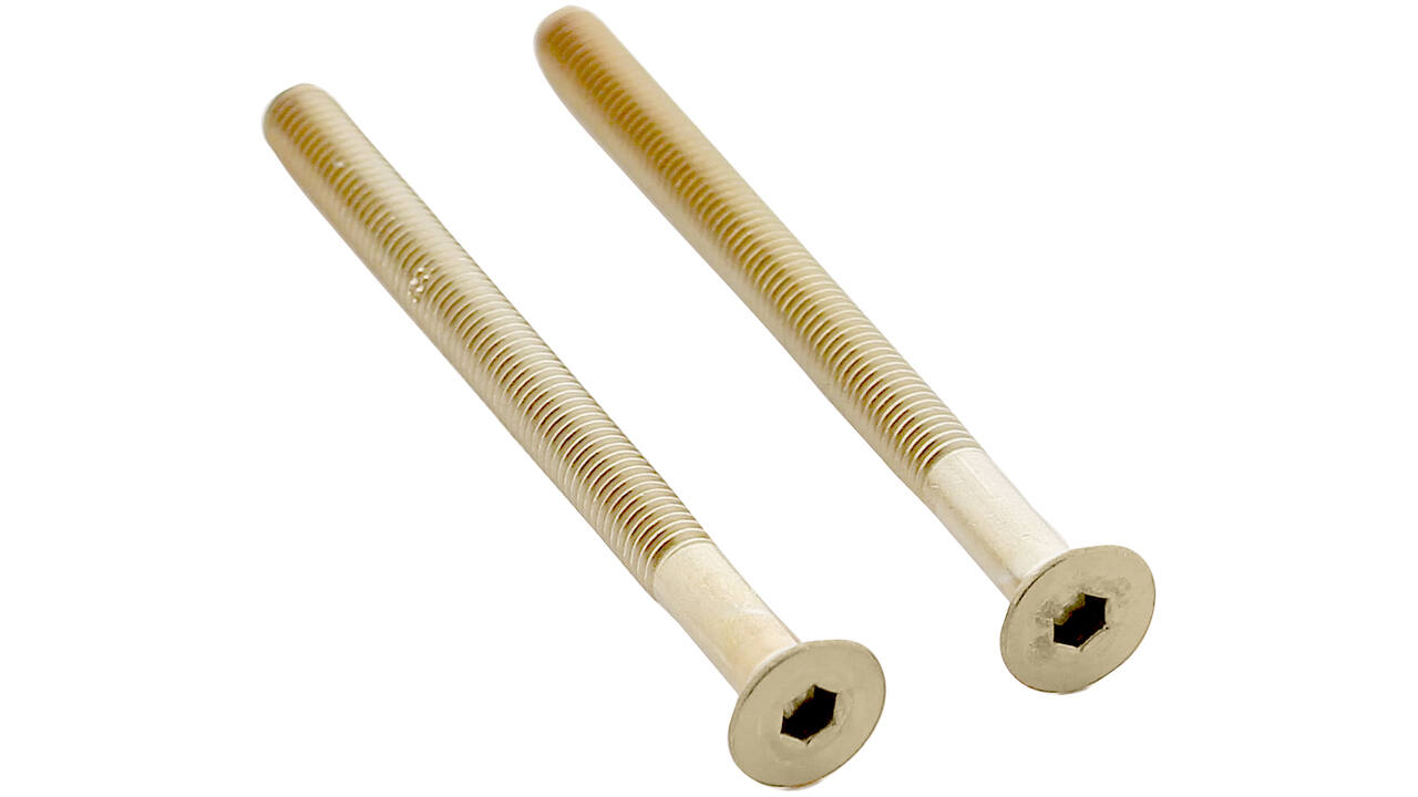 Set van 2 bouten 6-kant M5x65mm rvs PVD messing mat