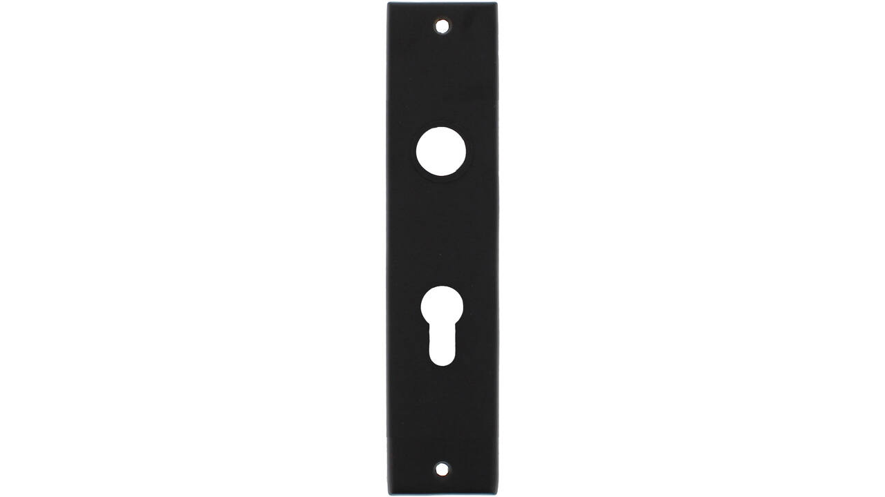 Schilden rechthoekig 181x41x7mm profielcilindergat 55mm zwart