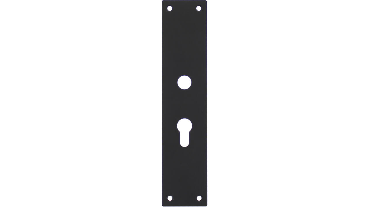 Schilden rechthoekig 250x55x2mm profielcilindergat 55mm structuur zwart
