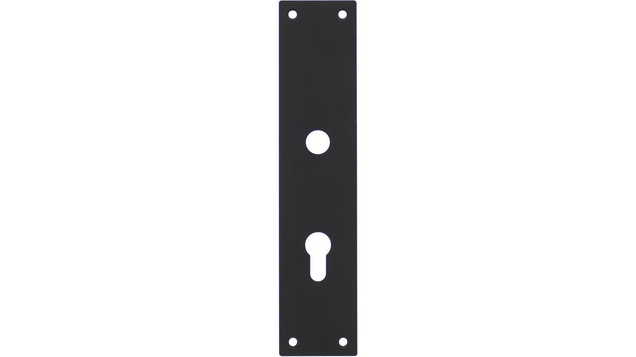 Schilden rechthoekig 250x55x2mm profielcilindergat 72mm structuur zwart