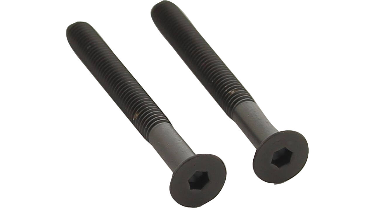 Set van 2 bouten 6-kant M5x48mm rvs PVD zwart