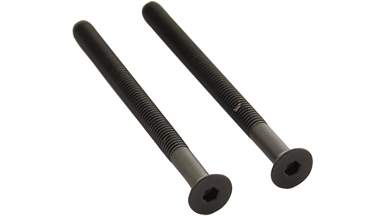 Set van 2 bouten 6-kant M5x65mm rvs PVD zwart
