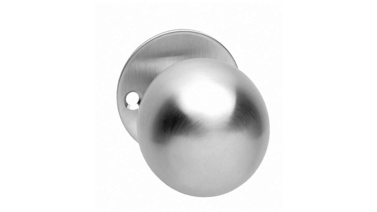 Knoprozet Ø51x2mm met vaste knop bol rvs