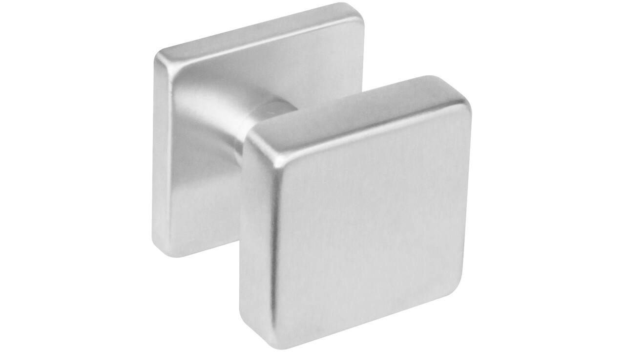 Knoprozet verdekt 53x53x8mm met nokken en vaste knop vierkant met wisselstift rvs