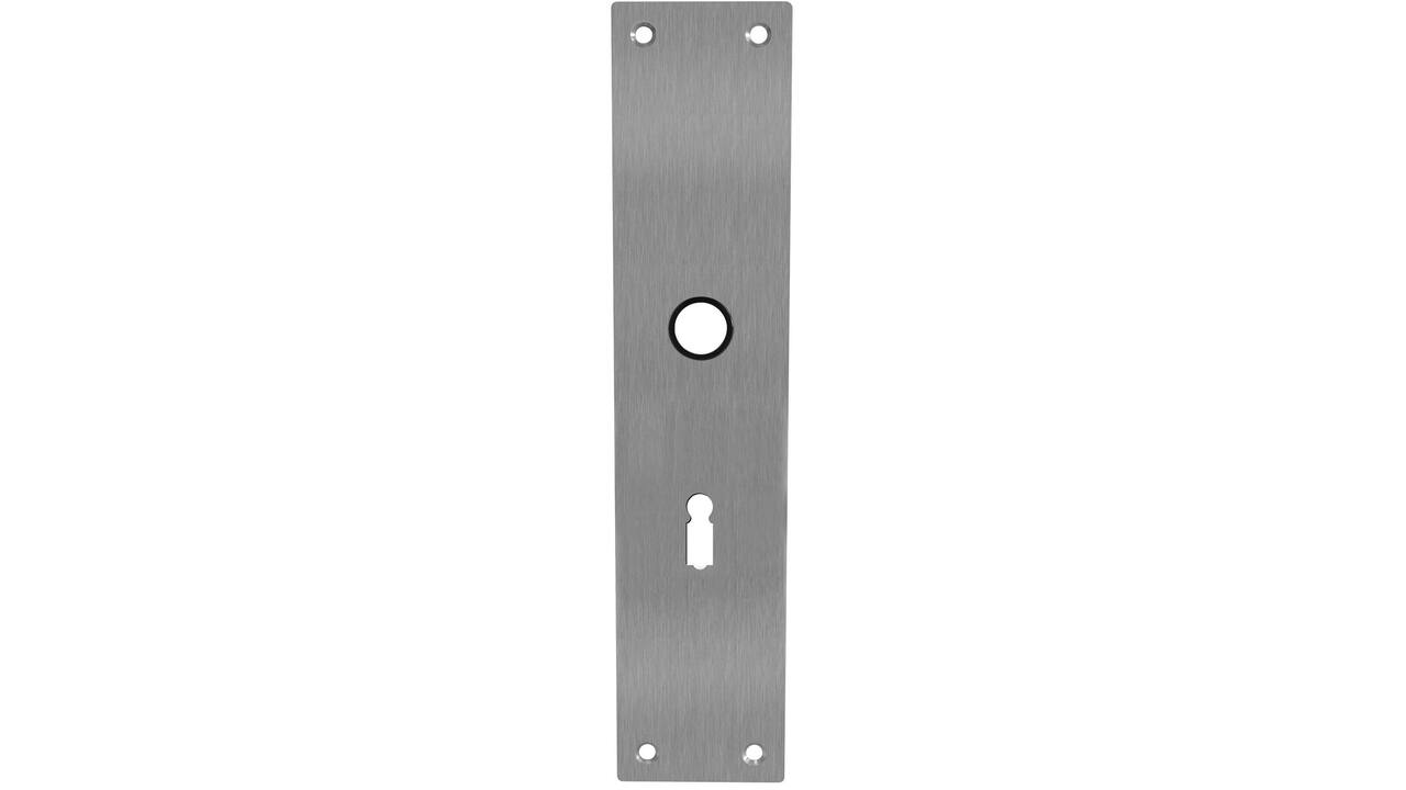 Schilden rechthoekig 250x55x2mm sleutelgat 56mm rvs