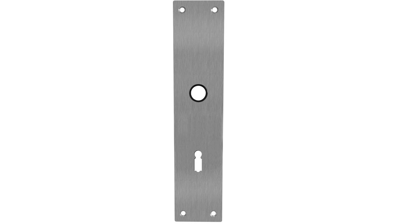 Schilden rechthoekig 250x55x2mm sleutelgat 72mm rvs