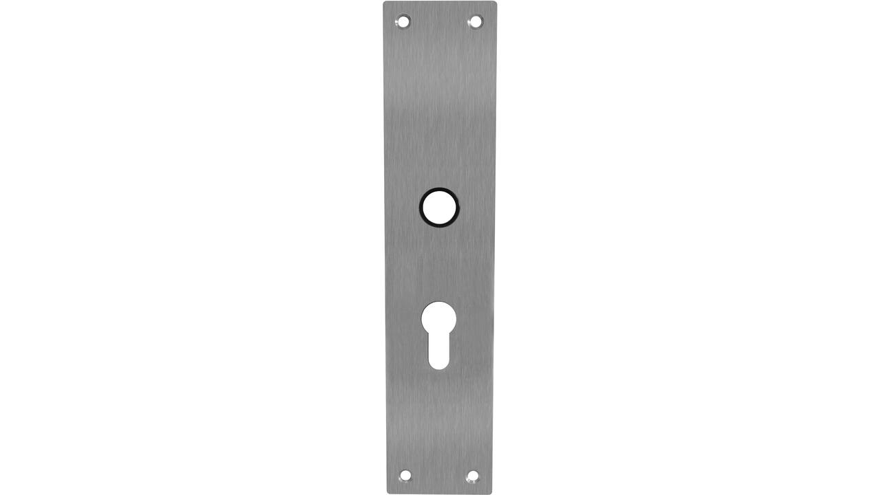 Schilden rechthoekig 250x55x2mm profielcilindergat 55mm rvs