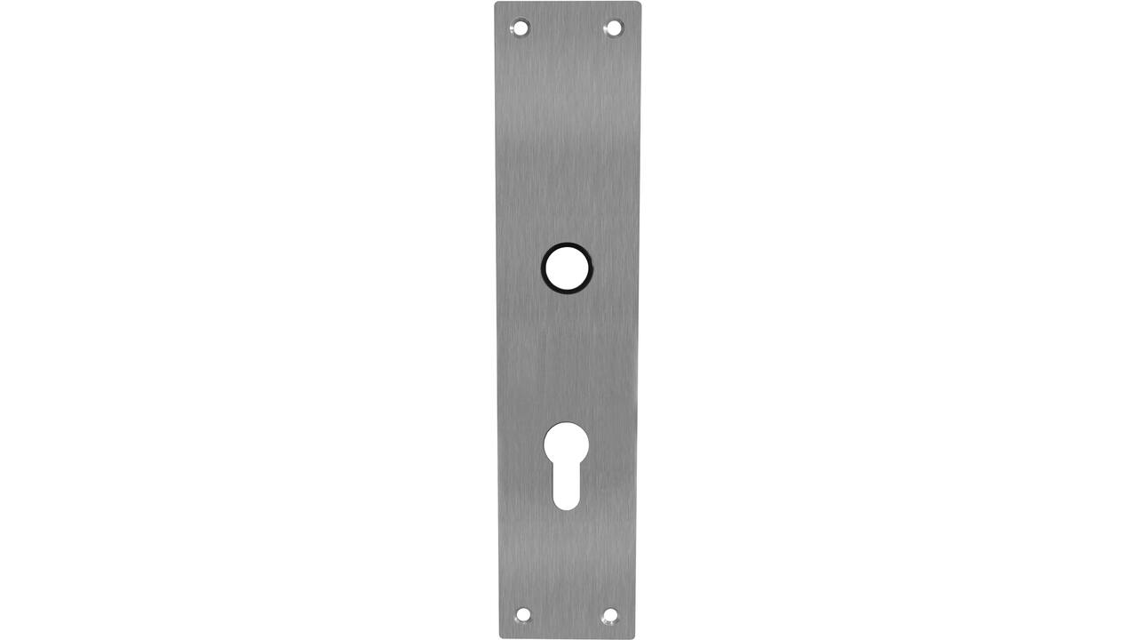 Schilden rechthoekig 250x55x2mm profielcilindergat 72mm rvs