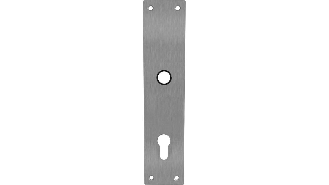 Schilden rechthoekig 250x55x2mm profielcilindergat 92mm rvs