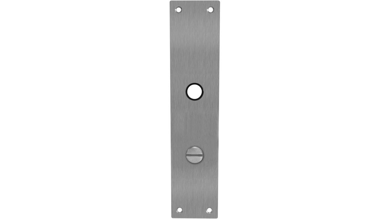 Schilden rechthoekig 250x55x2mm wc 78/8mm rvs