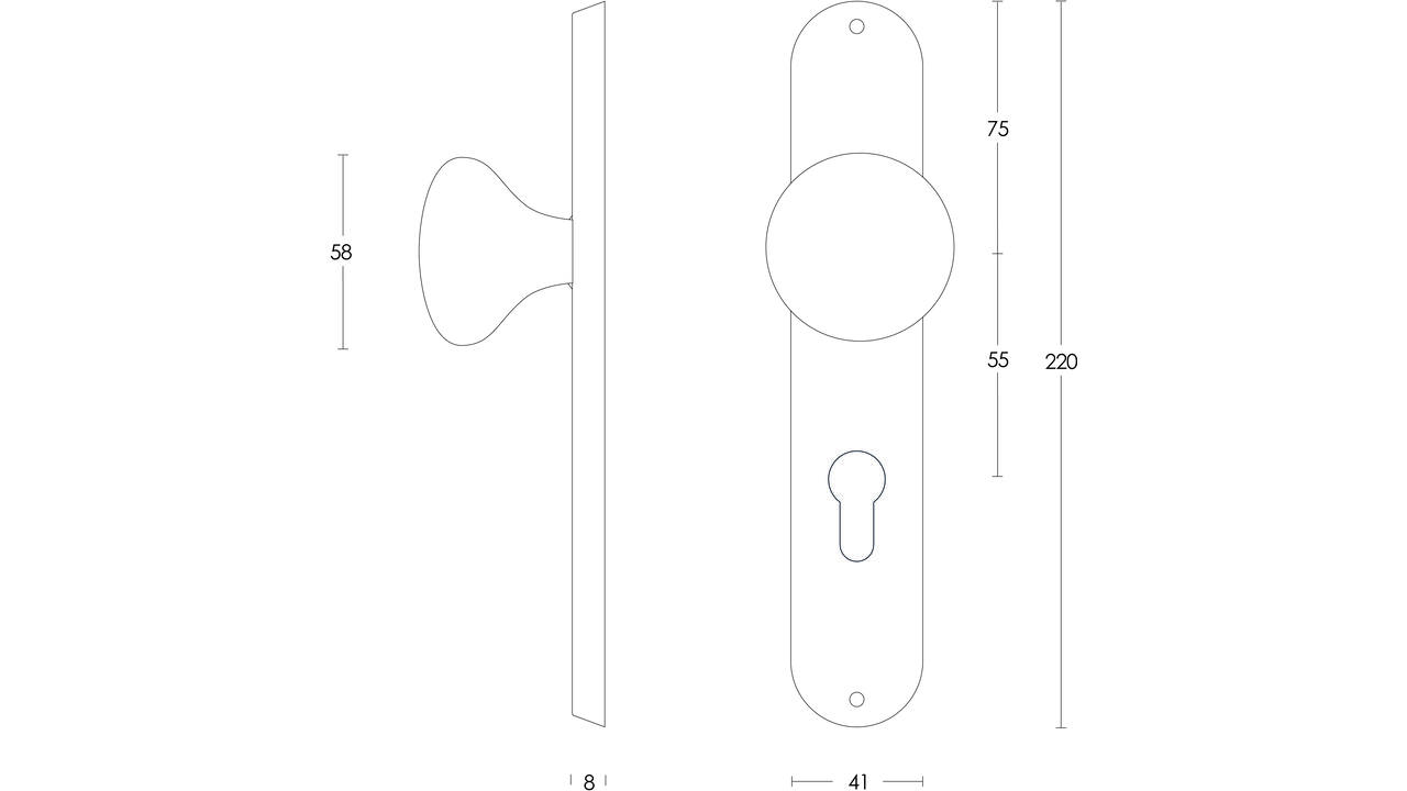 Knopschild ovaal 220x41x8mm met vaste knop paddenstoel profielcilindergat 55mm rvs