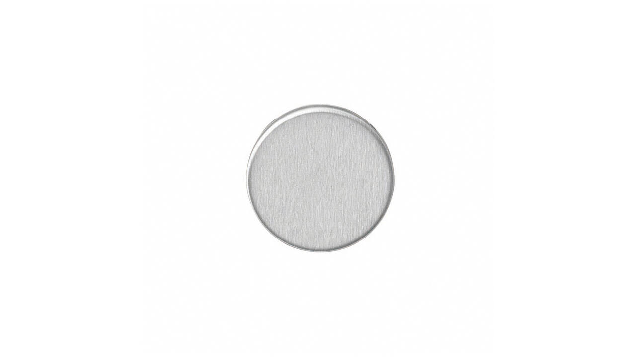 Afdekrozet verdekt ø53x5mm rvs