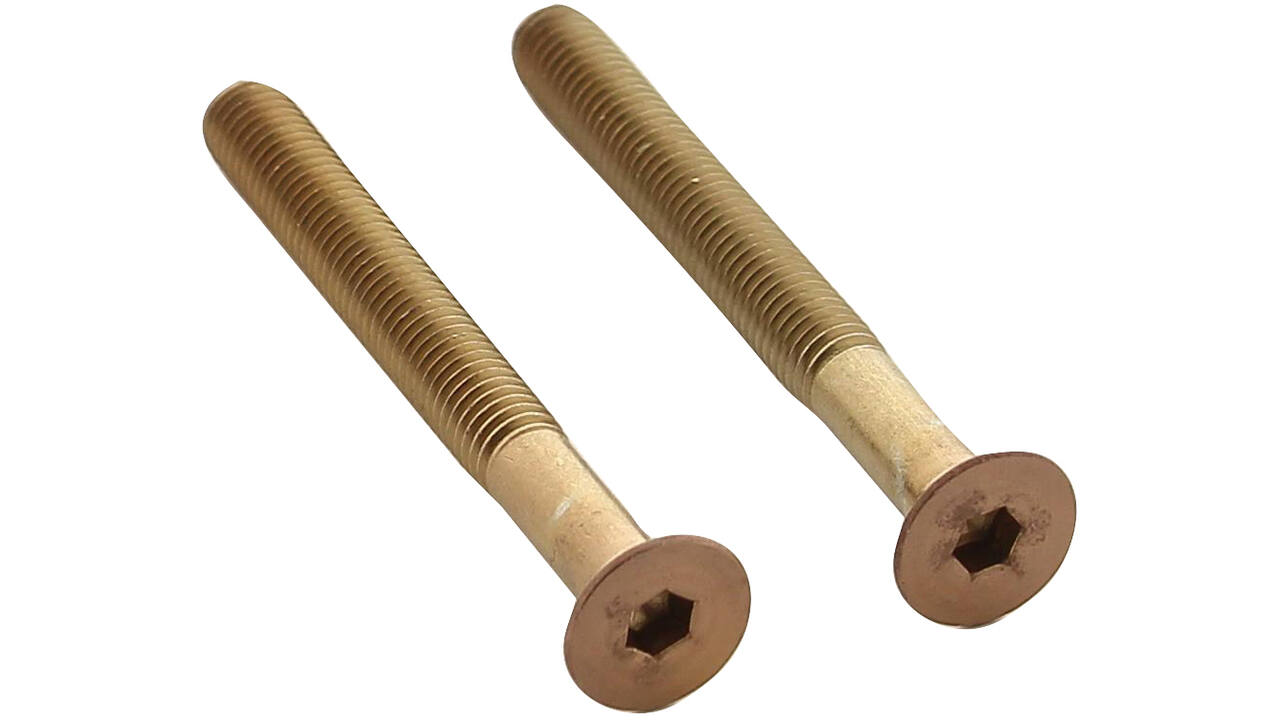 Set van 2 bouten 6-kant M5x48mm rvs PVD koper mat