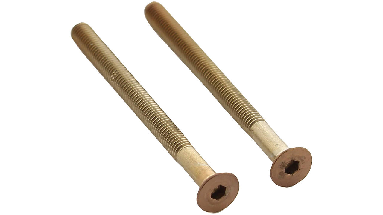 Set van 2 bouten 6-kant M5x65mm rvs PVD koper mat