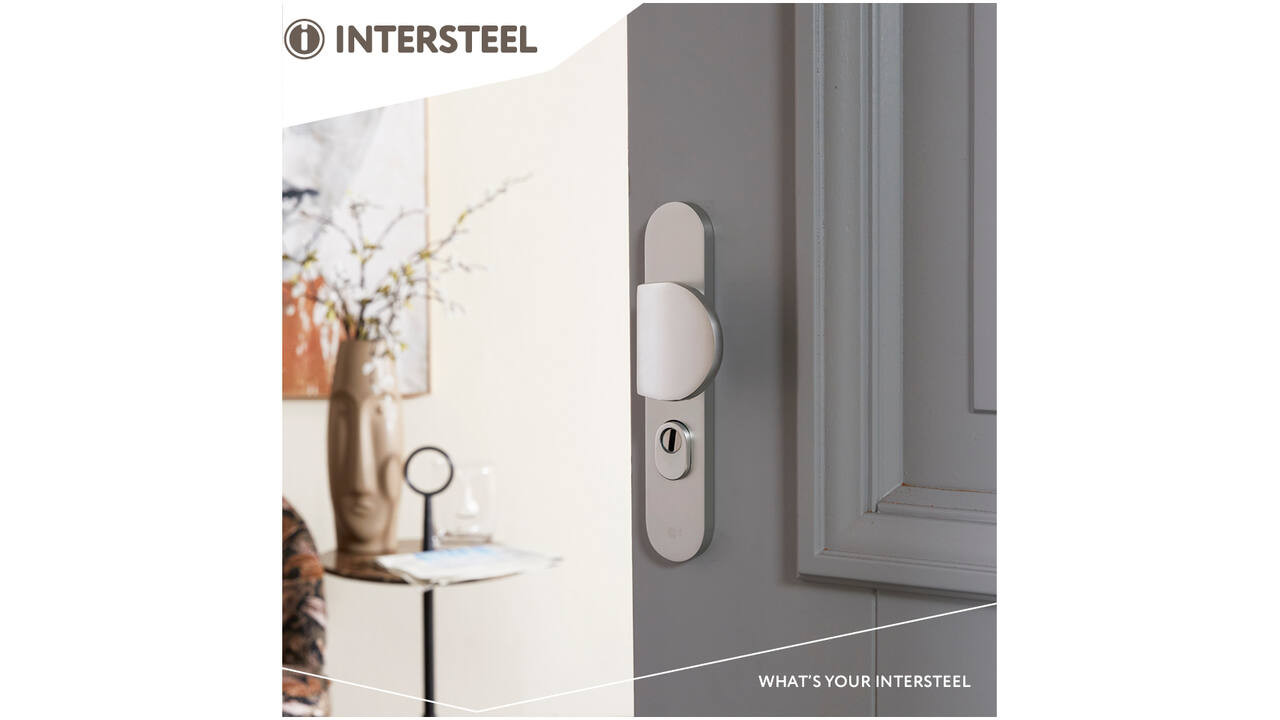 SKG3 veiligheidsbeslag ovaal 250x50mm greep/kruk Rond met veerconstructie profielcilindergat 72mm met kerntrekbeveiliging aluminium F1