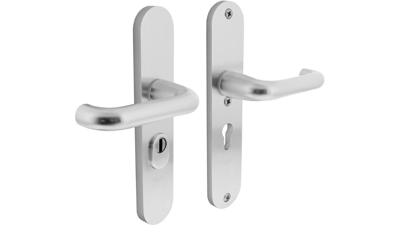 SKG3 veiligheidsbeslag ovaal 250x50mm kruk/kruk Rond met veerconstructie profielcilindergat 55mm met kerntrekbeveiliging aluminium F1