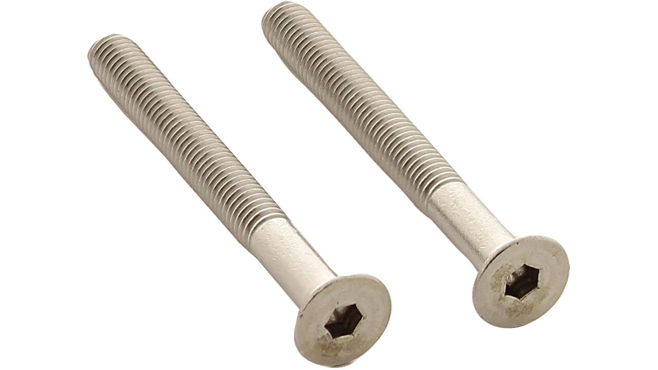 Set van 2 bouten 6-kant M5x48mm rvs
