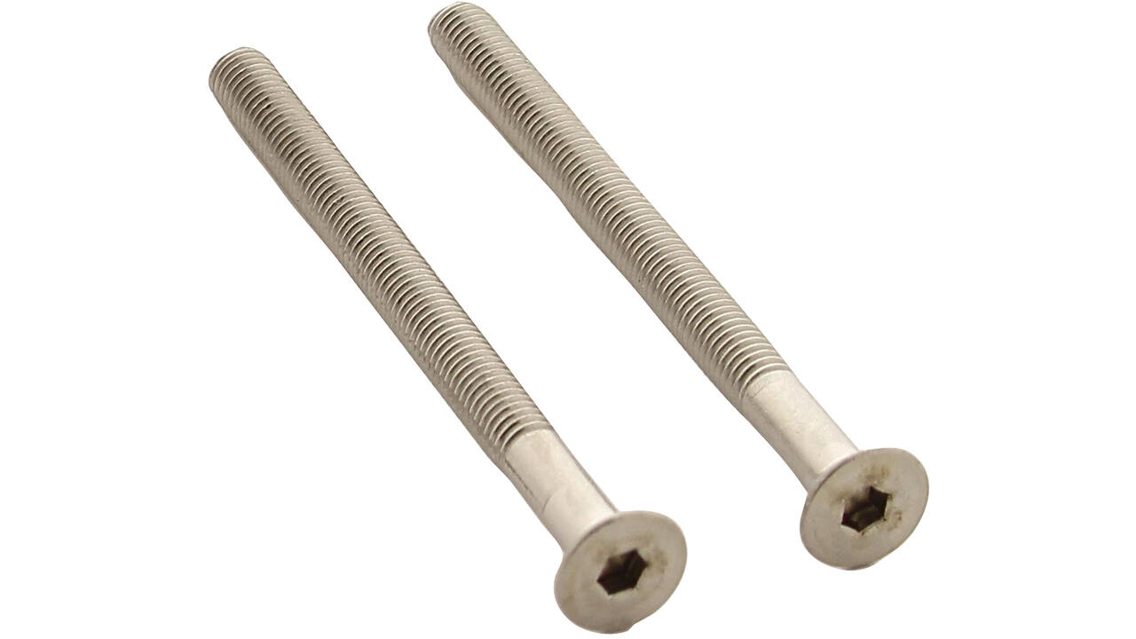 Set van 2 bouten 6-kant M5x65mm rvs