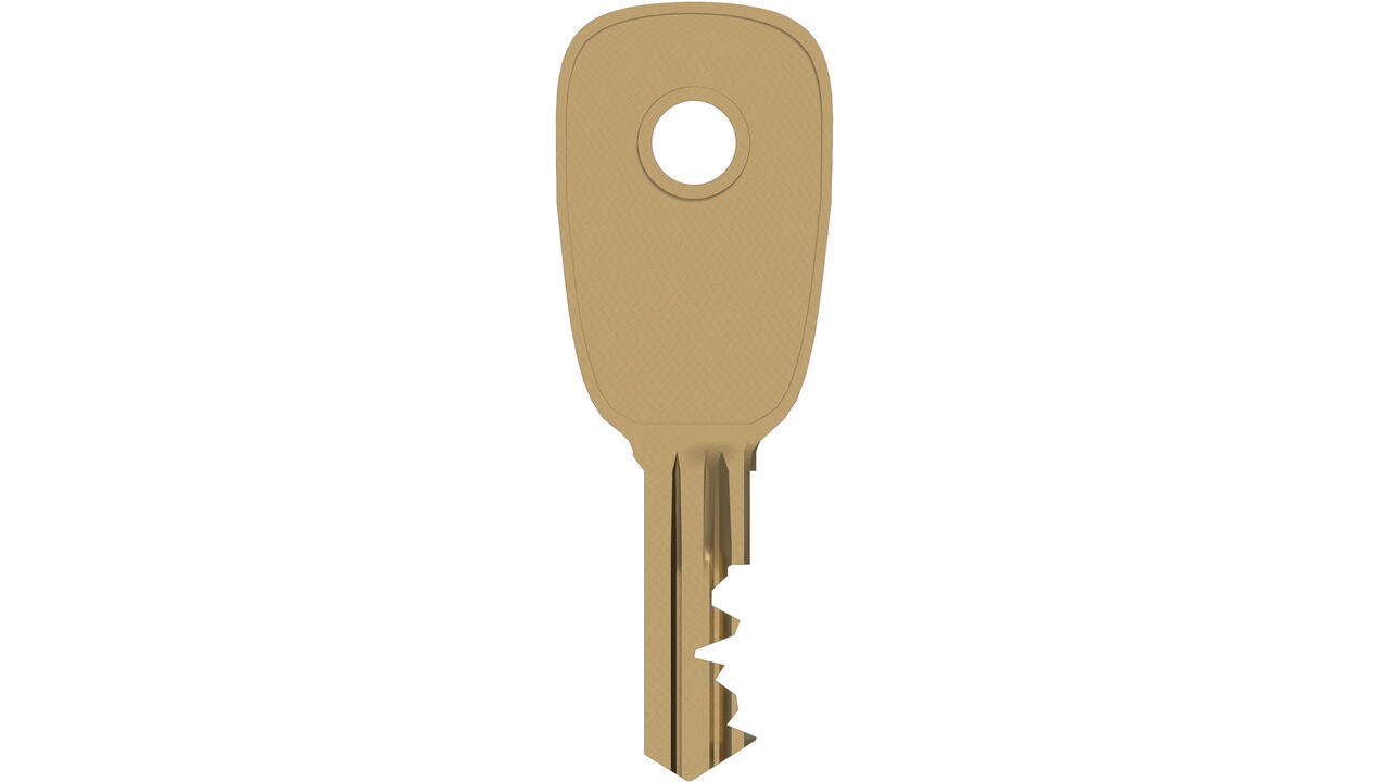 SecuMax sleutel tbv 806, 807 en 832 nr. D210 (1)