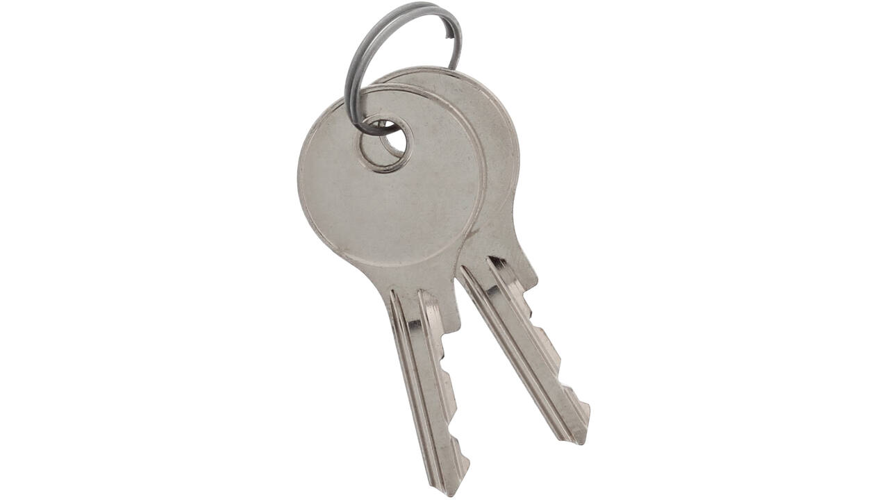 Sleuteltjes 2D110 t.b.v. espagnolet per setje (2 St)