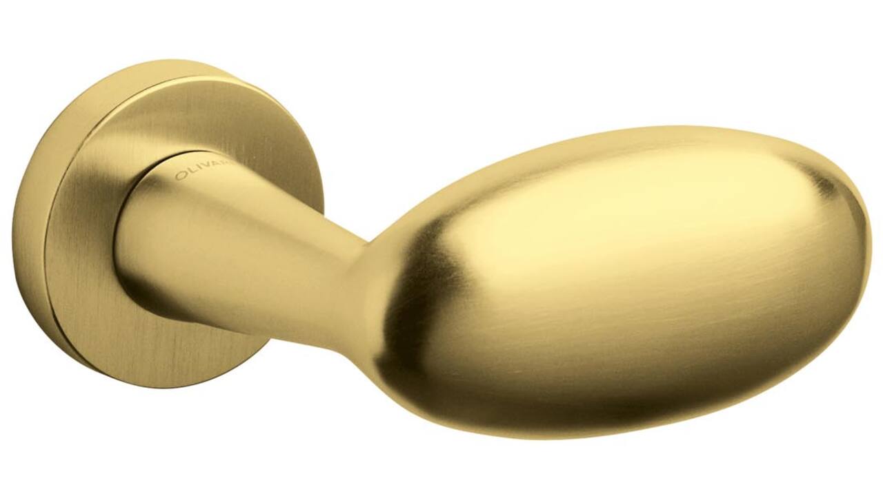 Olivari gatdeel Blindo Links wijzend + rond rozet 51x5mm Messing mat titaan PVD