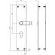 Schilden rechthoekig 250x55x2mm profielcilindergat 55mm structuur zwart