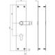 Schilden rechthoekig 250x55x2mm profielcilindergat 72mm rvs