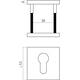 Cilinderrozetten verdekt 53x53x6mm PVD messing mat