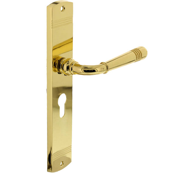 Deurkruk Helena op schild afgerond 235x45mm profielcilindergat 55mm PVD messingkleur