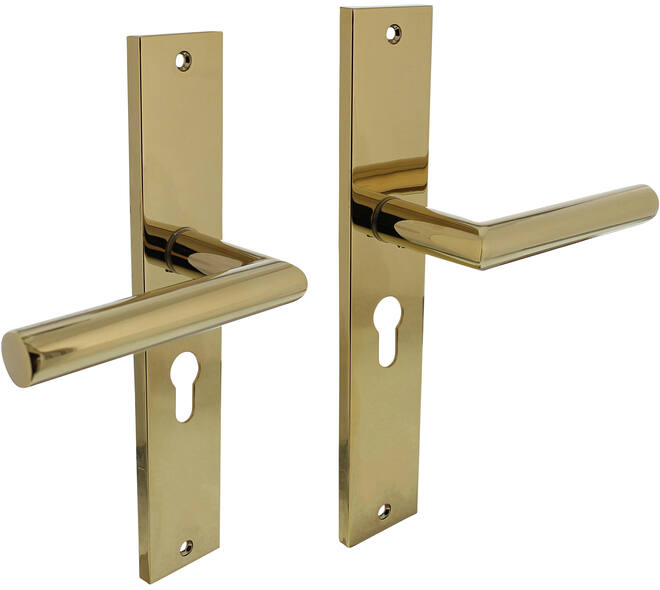 Deurkruk Bastian op schild rechthoekig 245x45mm profielcilindergat 55mm PVD messingkleur
