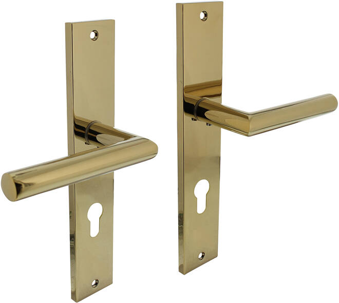 Deurkruk Bastian op schild rechthoekig 245x45mm profielcilindergat 72mm PVD messingkleur