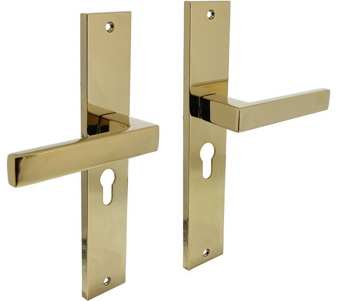 Deurkruk Hera op schild rechthoekig 245x45mm profielcilindergat 55mm PVD messingkleur