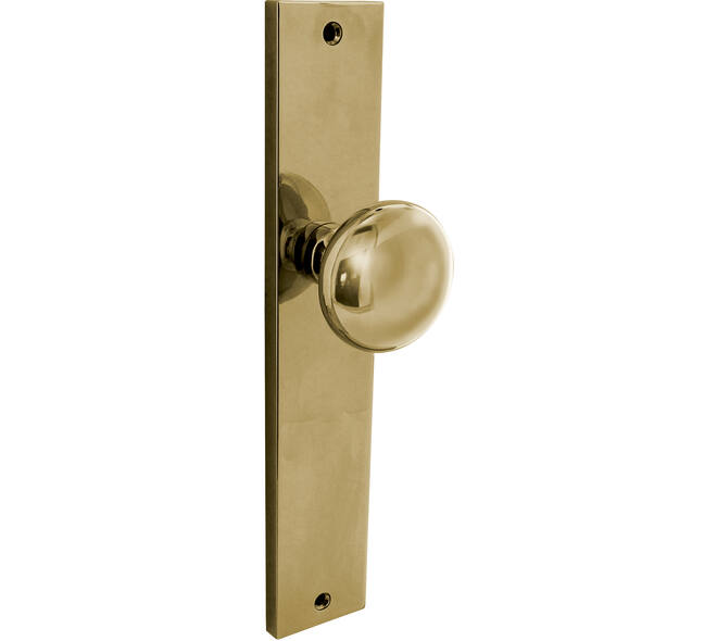 Knopschild rechthoekig 245x45x8mm met vaste knop paddenstoel en wisselstift blind PVD messingkleur