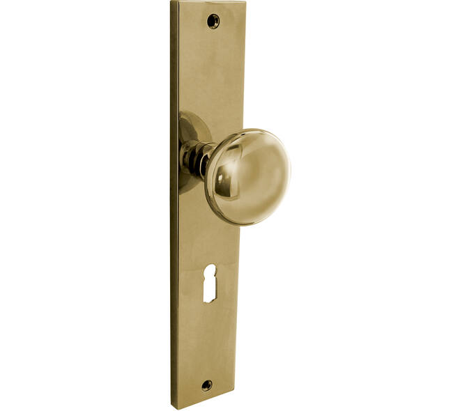 Knopschild rechthoekig 245x45x8mm met vaste knop paddenstoel en wisselstift sleutelgat 56mm PVD messingkleur