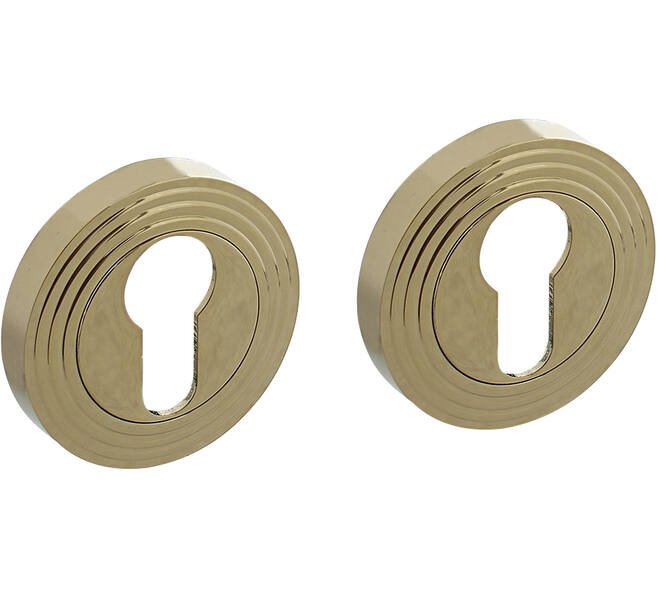 Cilinderrozetten verdekt met rillen ø55x10mm en nokken PVD messingkleur