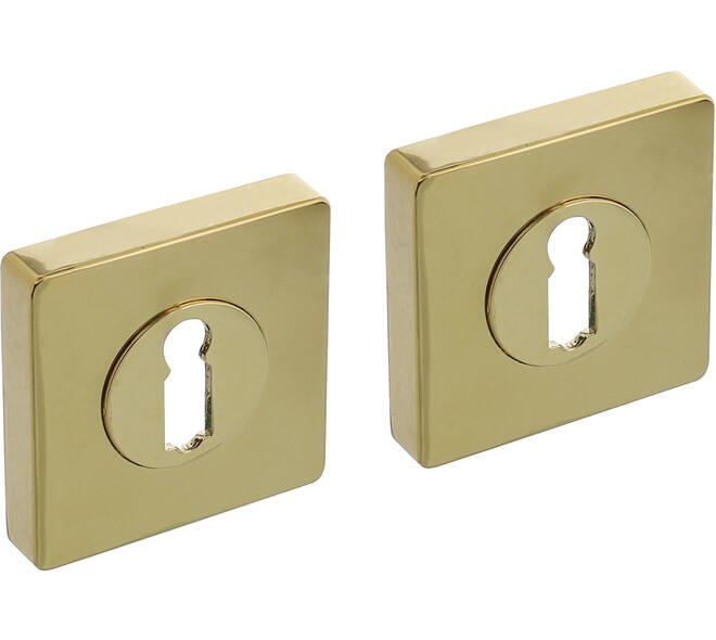 Sleutelrozetten verdekt 55x55x10mm met nokken PVD messingkleur