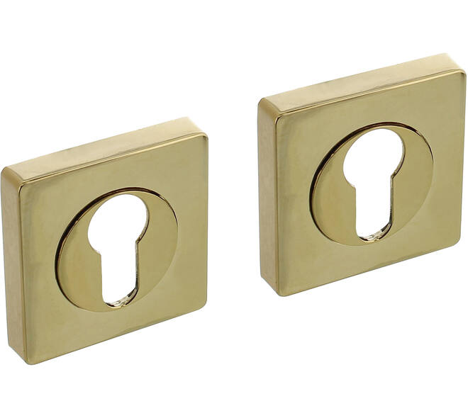 Cilinderrozetten verdekt 55x55x10mm met nokken PVD messingkleur